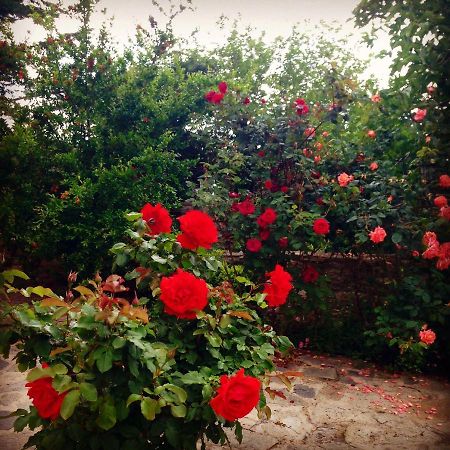 Отель La Casa Rossa Принос Экстерьер фото